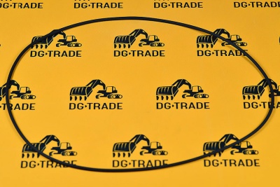 Уплотнительное кольцо Carraro